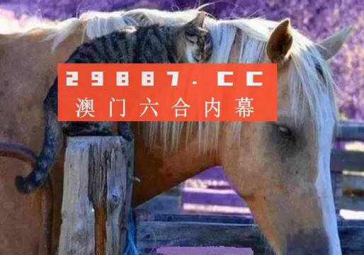 澳门香港一肖一码一中一特免费公开|词语释义解释落实