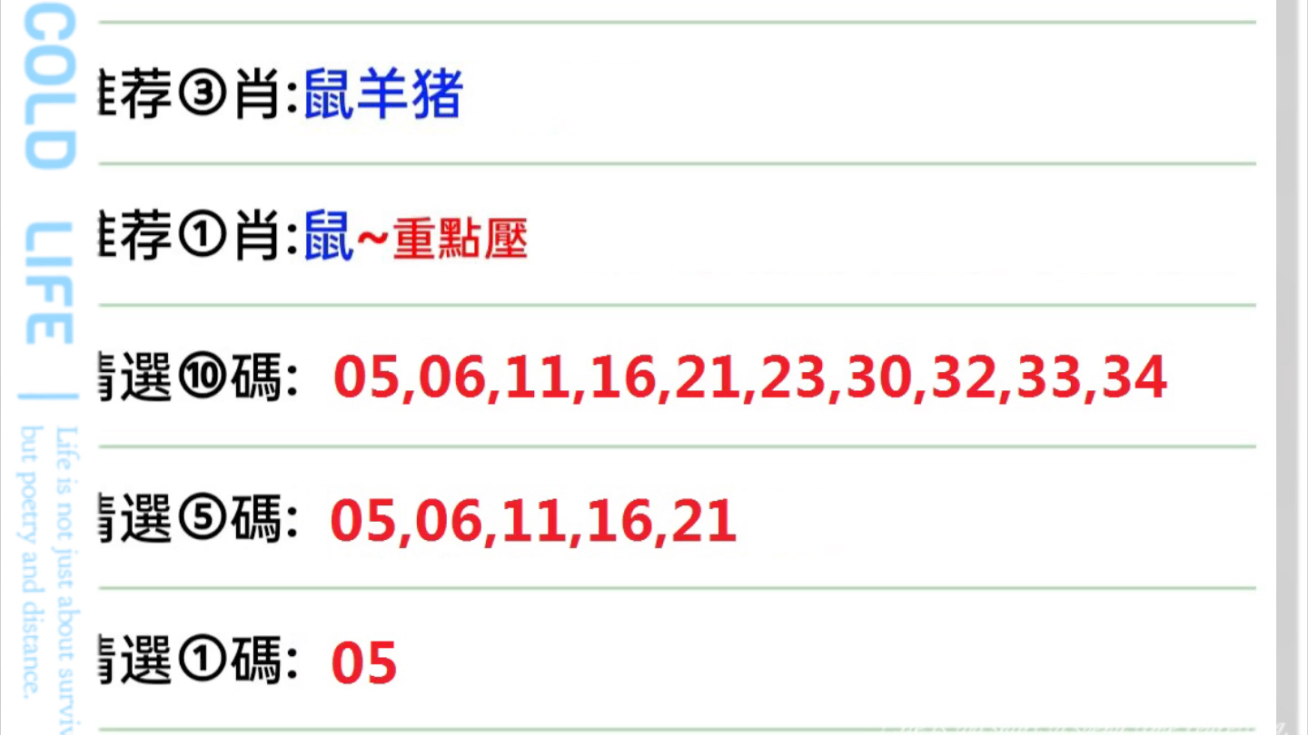 今晚澳门码特开什么号码,综合研究解释落实