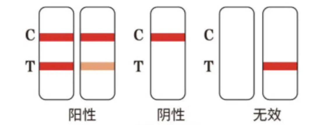 新冠病毒最新国外