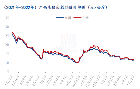 今日广西猪价最新