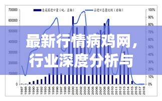 最新行情病鸡网